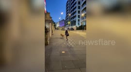 Stubborn pooch lies down and refuses to move