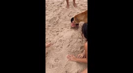 Manual do bom vira-lata caramelo: viu de bobeira? Aproveita!