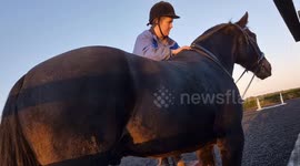 Horse Objects To Bareback Ride