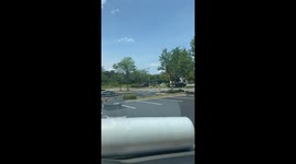Just a Typical Midday Crash Out
