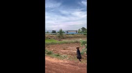 Furry Siblings Pick Up Youngest From School Bus