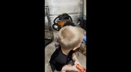 Surprise! Kids soak dad in the ultimate after-work water war