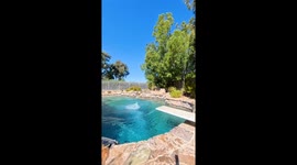 Redemption After Diving Board Fail