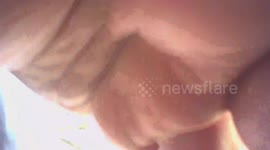 Unplanned Camera Crash