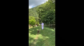 Wild monkey blocks path and attacks nun in park