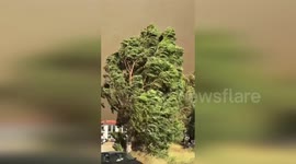 Türkiye: Wildfires Rage In Izmir As 50000 Evacuated And Airport Shut Down Amid Fierce Winds