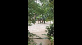 Grandmother trapped in raging flood is rescued by locals