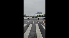 Curious crow has touching interaction with traffic cop in China