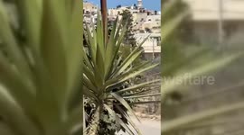 Palestine: Intense Gunfire Erupts During Israeli West Bank Raid