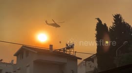 Authorities rescue 25 kittens and 10 dogs from home threatened by wildfire in Turkey