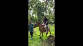 Girl has a painful fall when startled pony throws her off