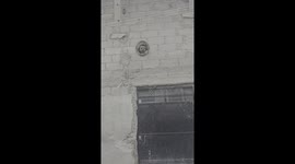 Dogs Peek Through Framed Hole in Wall