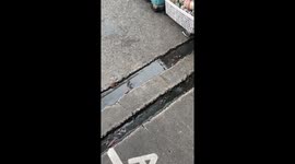 Goldfish swim through drain water at this market in Thailand