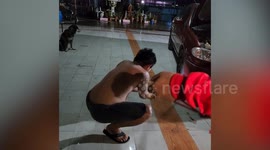 Neighbours catch garden snake that hid under resident's car
