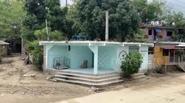 Mexico: Over One Thousand Animals Rescued After Hurricane Erick Devastates Communities In Mexico