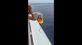 Father jumps off Disney cruise after daughter falls overboard - both eventually rescued