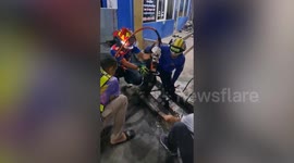 Firemen rescue monitor lizard stuck in pipe