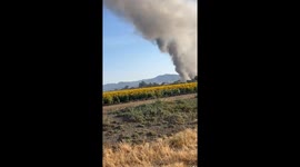 US: Fire Breaks Out at Fireworks Facility in Esparto, California