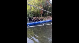 Soldiers swing on rope bridge for jungle survival training