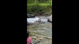 Quick-thinking tourist catches two girls being dragged away by river