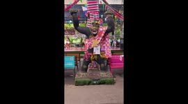 Dancer dressed as woman sings in front of gorilla statue
