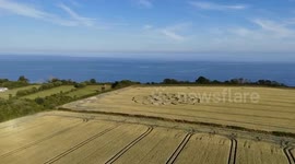 Mysterious crop circle appears in Devon field