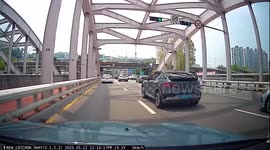 Brave woman stops traffic on busy bridge to rescue stranded kitten