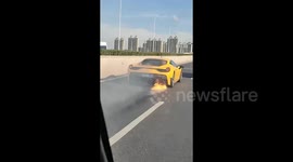 Ferrari bursts into flames before completely melting, driver escapes after being warned by passing motorists
