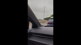 UK: Horse Runs Wrong Way on M69, Stops Traffic Near Hinckley