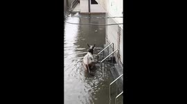 Residents stranded in a waterlogged area in Rajasthan, India