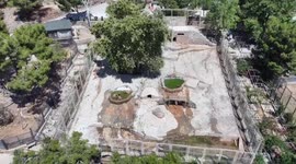 Türkiye: Turkish zoo serves animals frozen snacks to beat extreme temperatures