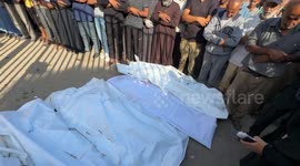 At least 29 Palestinians killed in ongoing Israeli strike on Gaza