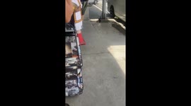 Python sparks panic as it slithers in front of shop