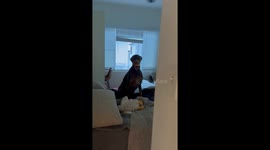 Doberman’s sweet and dramatic welcome after mom’s workday