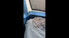 Flooded tent causes bed to float in Byron Bay, Australia