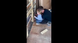 Toddler joins dad in horsebox conversion project in Wales, UK