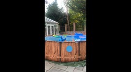 Synchronized splash: TikTok video of nieces’ pool wave crash makes waves online