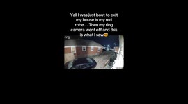 Ring cam captures wild rodeo escape and red robe close call