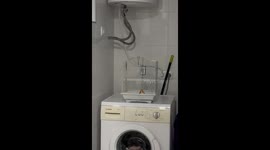 Lovebird Lets Herself Out Of Cage