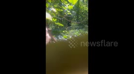 For weeks, creepy woman has been haunting their backyard—Police say to ‘just deal with it’