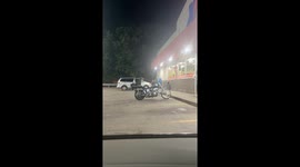 Cool Pit Bull Riding Backseat on a Motorcycle
