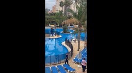 Sun Bed War