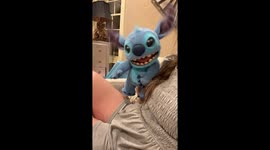 French Bulldogs Make Friends With Alien Experiment
