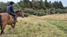 Girl Fall Head First Off Her Horse