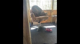Trying to Find Comfort on a Wobbly Chair
