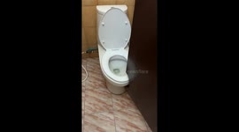 Bathroom door has a semi-circle cut out to avoid hitting toilet