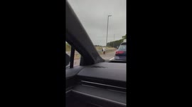 Motorway brought to standstill by runaway horse