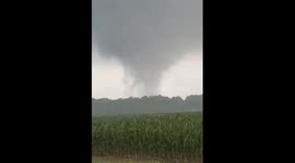 Tornado spotted moving through cornfield in Omar, Delaware, USA