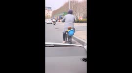Dog calmly rides in bicycle basket in Liaoning, China