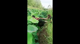 Woman falls in mud during failed plant-picking in Henan, China
